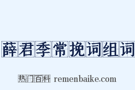 薛君季常挽词组词是什么意思的图片